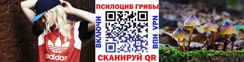 Псилоцибиновые грибы Magic Shrooms  Купить  Гвардейск 