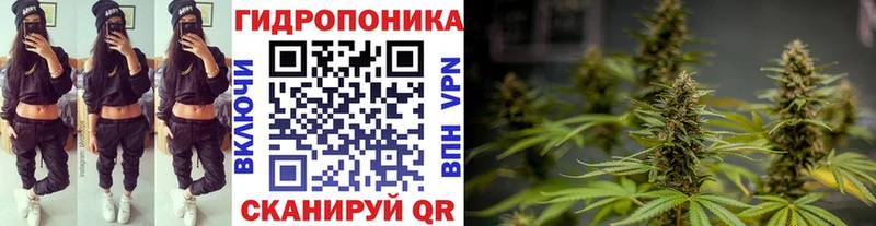 Купить  Гвардейск  Бошки Шишки Ganja 
